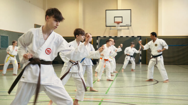 Karate-Seminar